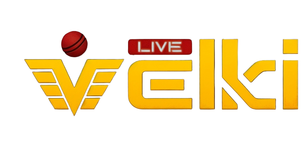 Velki logo